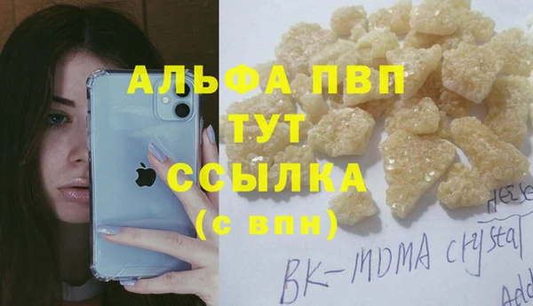 ешки Горняк
