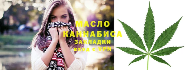 ешки Горняк