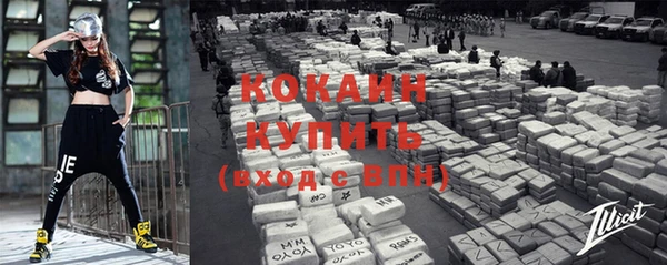 ешки Горняк