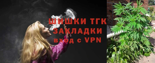 ешки Горняк